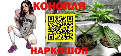 ECSTASY Балашиха
