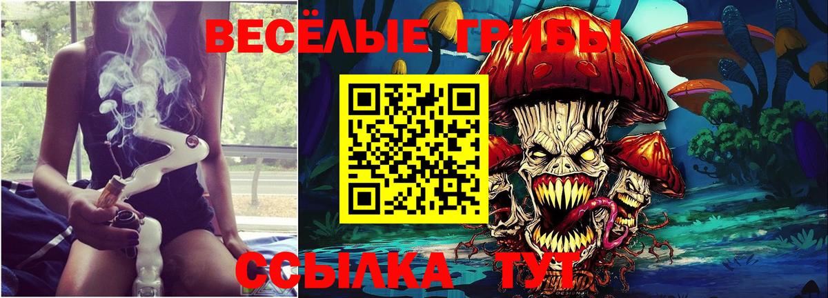 как найти закладки  Псилоцибиновые грибы Magic Shrooms  Псилоцибиновые грибы GOLDEN TEACHER  Вход с VPN  Дзержинск 