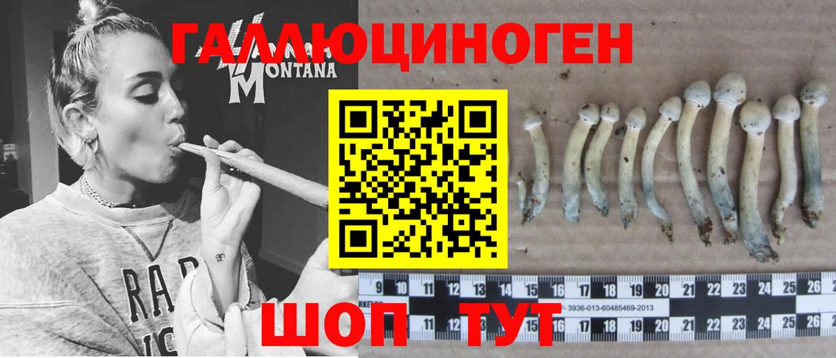 Галлюциногенные грибы GOLDEN TEACHER Дзержинск